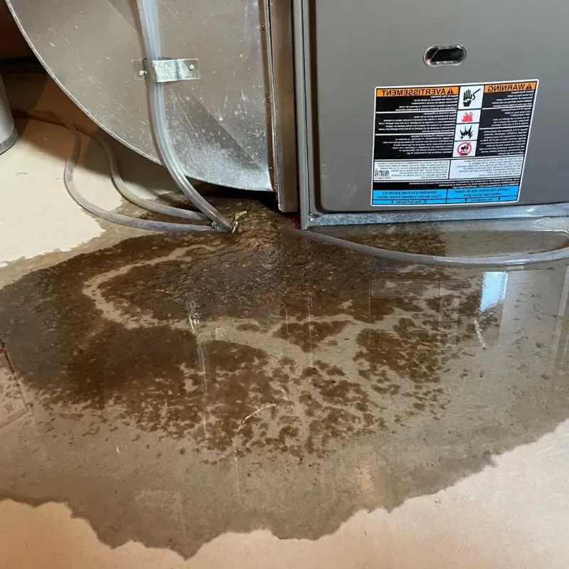 Pipe Burst and Leak Restoration in Bell, CA