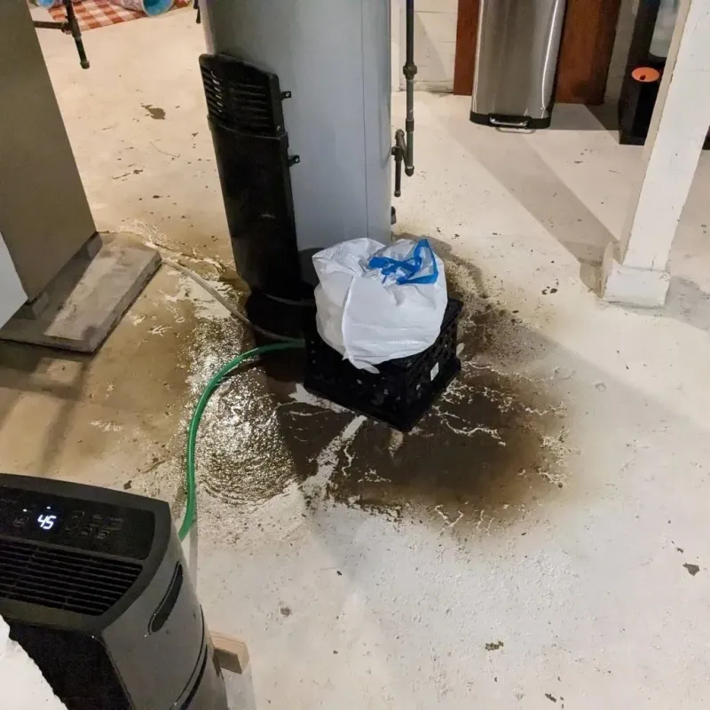 Sewage Backup Cleanup Service in Bell, CA